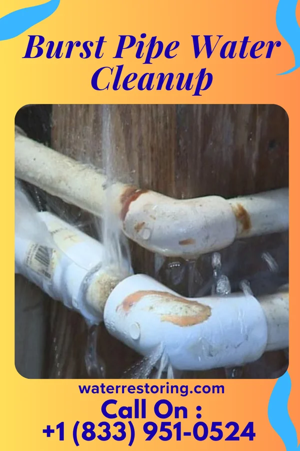Burst Pipe Water Cleanup in Scribner, NE
