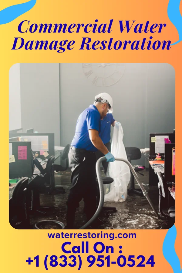 Commercial Water Damage Restoration in Scribner, NE