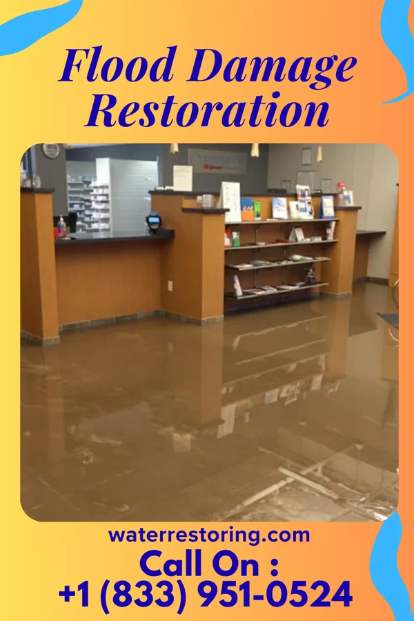 Flood Damage Restoration in Scribner, NE