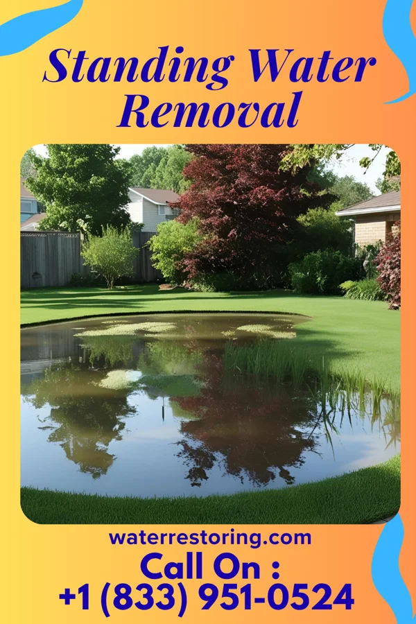 Standing Water Removal in Scribner, NE
